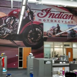 Custom Office Wall Graphics